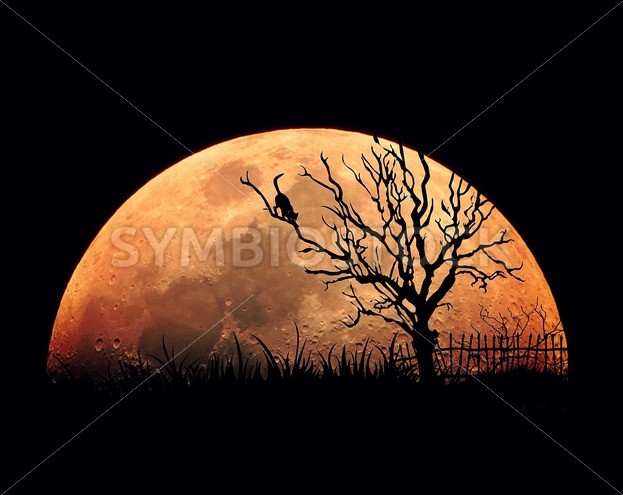 Tree and Moon Rising Illistration - Symbiostock Express Demo